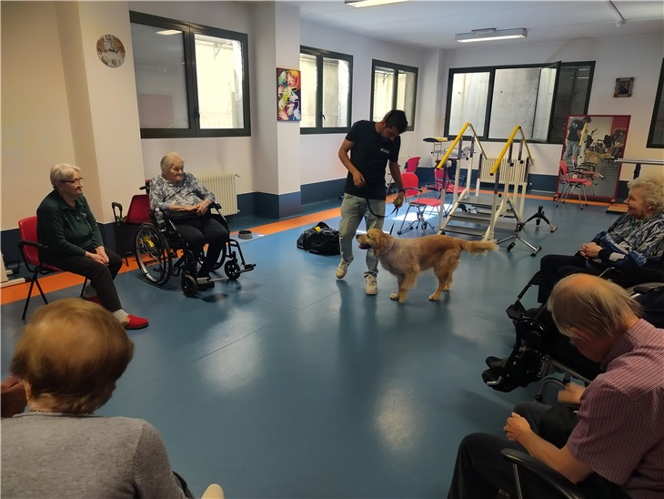 Leggi news | LUNEDI 27 APRILE - PET THERAPY-